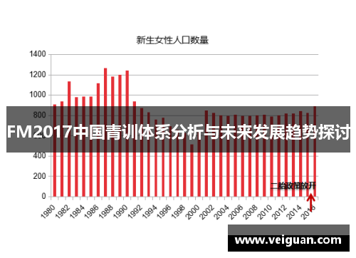 FM2017中国青训体系分析与未来发展趋势探讨